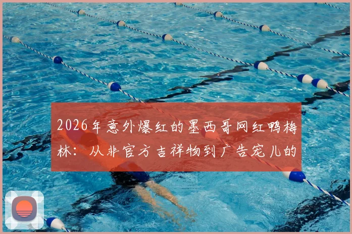2026年意外爆红的墨西哥网红鸭梅林:从非官方吉祥物到广告宠儿的逆袭之路,周边及表情包合集