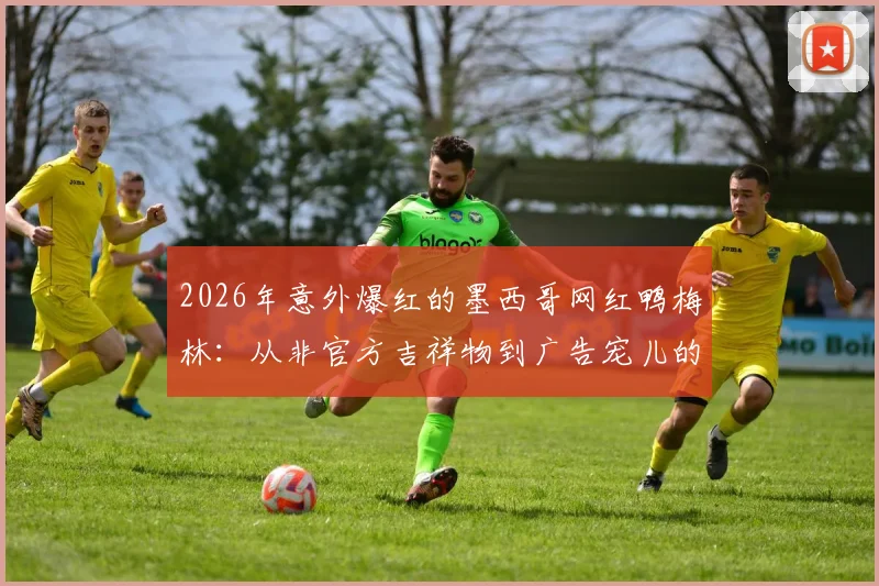 2026年意外爆红的墨西哥网红鸭梅林:从非官方吉祥物到广告宠儿的逆袭之路,周边及表情包合集